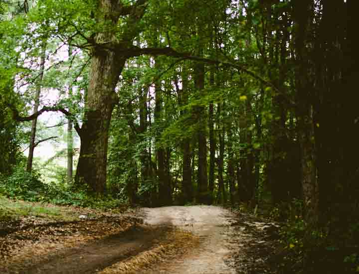 靠谱的自助网站求的ddos攻击