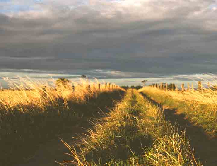 免费DDOS攻击测试工具